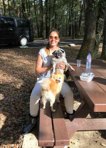 Teresa with Molly and Roxy, enjoying a lunch-break in the shady woods of S.W.France on their way from London to Marbella.